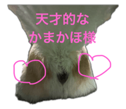 665886023