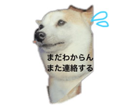 665886025