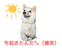 665886028