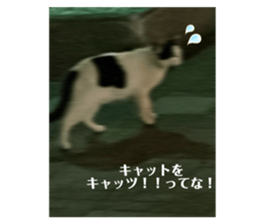 665887381