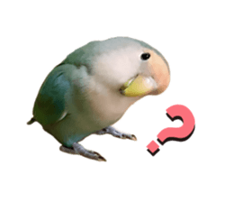 665915238