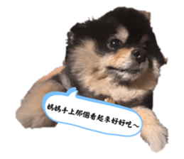 665933063