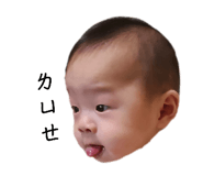 665950997