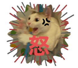 665968686