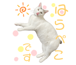 665968696