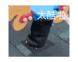 665985339