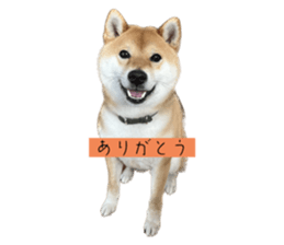 665991519