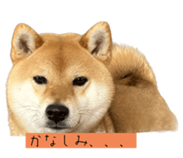 665991520