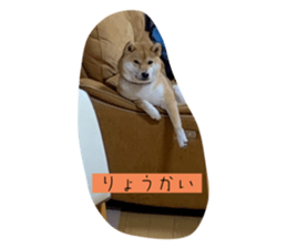 665991521