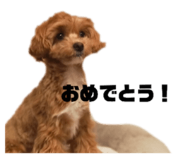 665991567