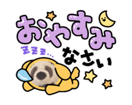 665994072