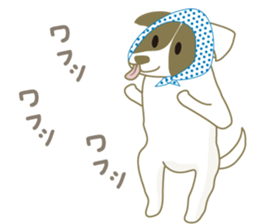 6659998