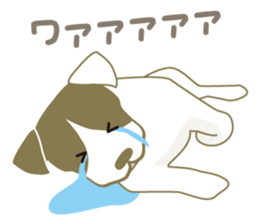 6660001