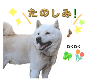 666004984