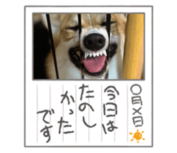 666015332