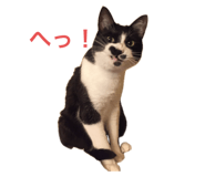666039328