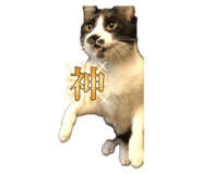 666039337