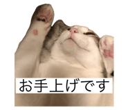 666039339