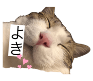 666039342