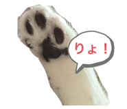 666039356