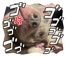 666045839