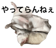 666046444