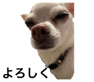 666046445
