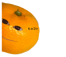 666063133