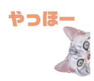 666099254