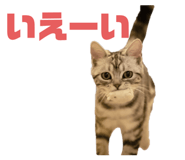 666099261