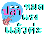 666152036