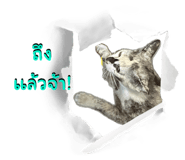 666181757