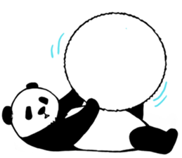 6662466