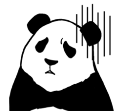 6662481