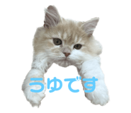 666334070