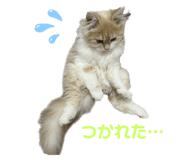 666334079