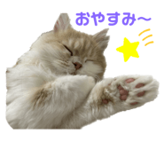 666334081