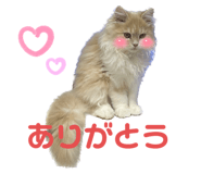 666334085