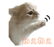 666334091
