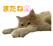 666334092