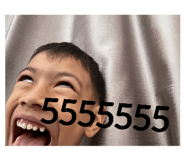 666353386