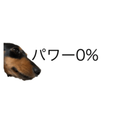666355184