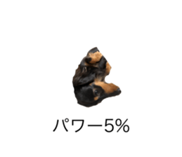 666355185