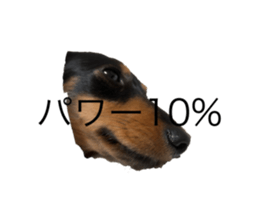666355186