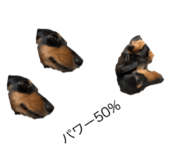 666355188