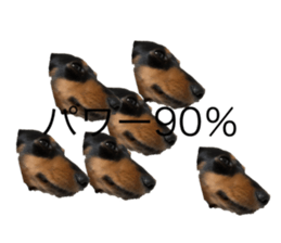 666355190