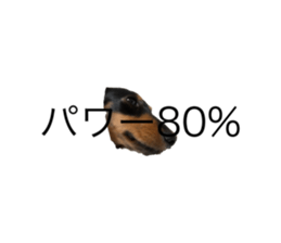 666355193