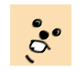 666382396