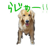 666433936