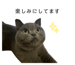 666434451